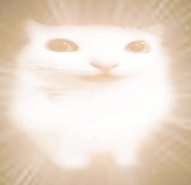 Awesome Cat
